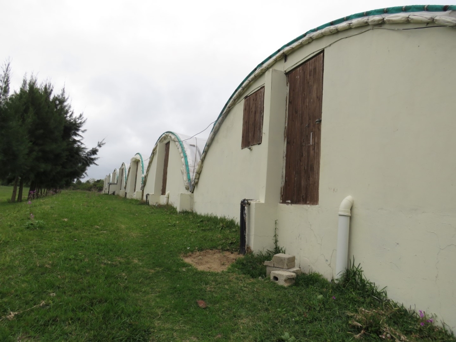 3 Bedroom Property for Sale in Bathurst Eastern Cape